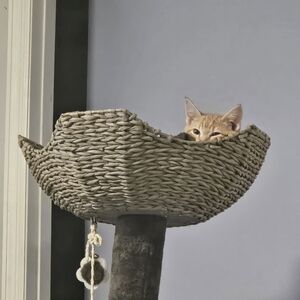 Meet your Posher, Shawn